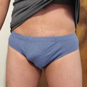 Van Heusen Briefs